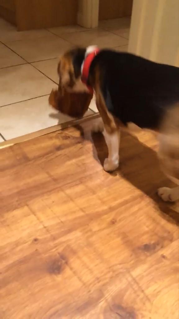 Thanks for all the birthday messages, had a fab day dozing and legged it with my birthday cake!!! 🙊🙊