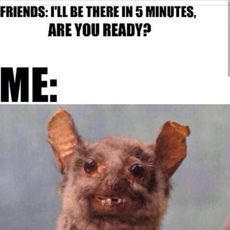 Me every Saturday:
SHIT!!