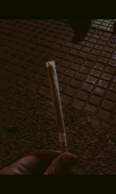 MissWeed_'s tweet photo. Feliz san canuto! http://t.co/WPbVFwgLFa