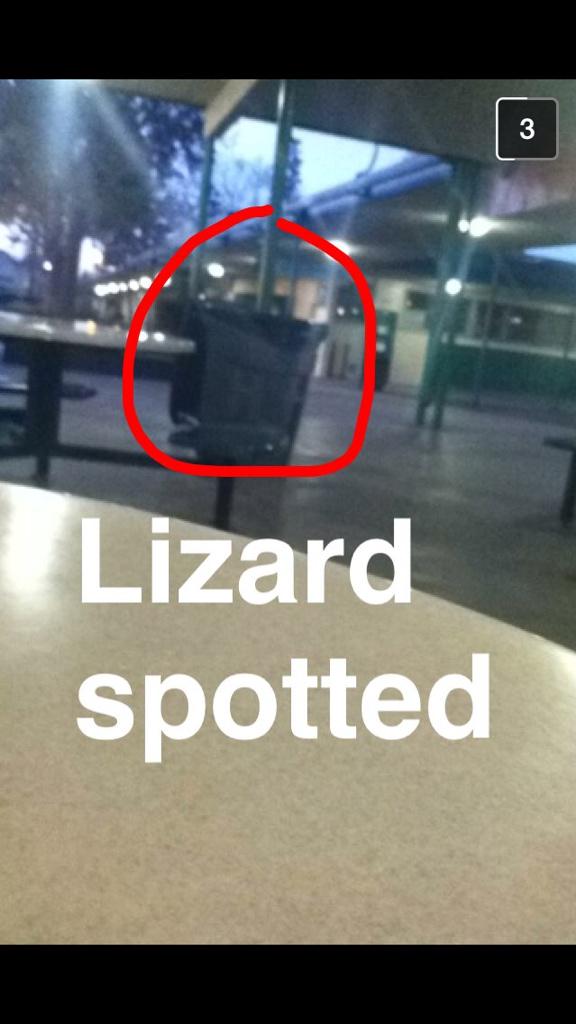 lisetteperezzz's tweet photo. My friends love me I swear #trashshit http://t.co/pIhSAdeAAT