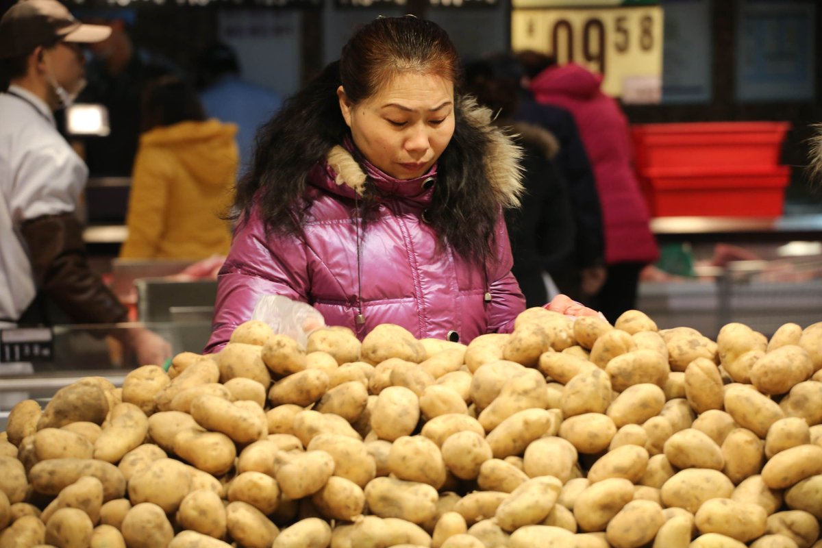 LastWeekFans's tweet photo. “@vicenews: The Chinese government says the future lies with potatoes:http://t.co/flL1k6RX9f http://t.co/jvCBeYfzx3"