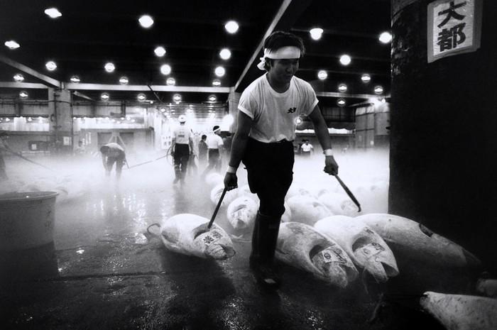 Preparing for this! raykophotocenter.com/upcoming-show/