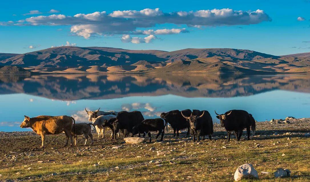Сайн цаг ирнэ монголчуудаа. Учир Монголын минь заяа буян их бас монгол хүний эх оронч үйл дуусахгүй.