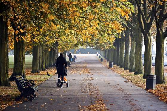フォローありがとうございます。