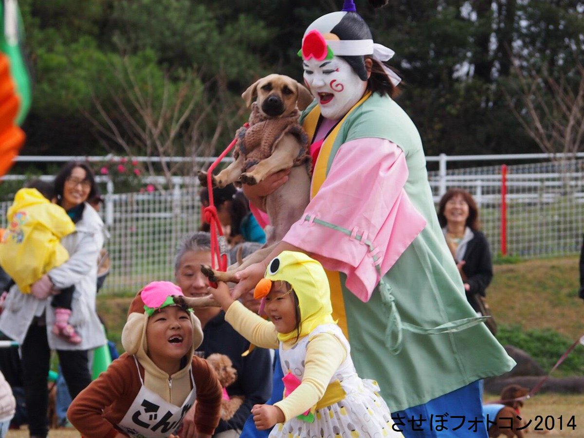 佐世保市 観光物産振興局 させぼフォトコンの一次審査通過作品です 一眼レフ部門 させぼの楽しい 第6回わんわん大運動会 迎あやさんの作品 えぼしドックラン 犬 とのふれあいをテーマに子供たちと仮装の桃太郎 わが家の可愛い猿 キジ 犬です