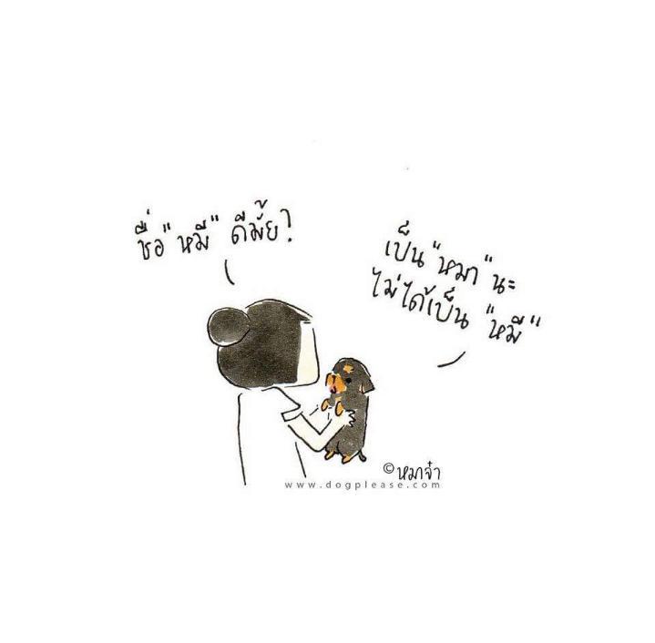 DogpleaseMaaJa's tweet photo. เกิดเป็นหมา แต่โตมาเป็นหมี http://t.co/v7tgDWXFaJ