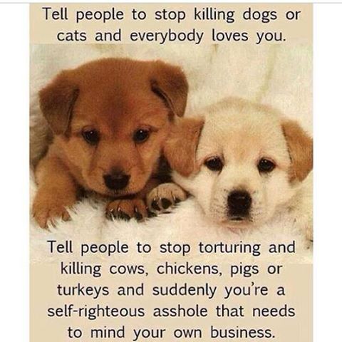 JoyofVegan's tweet photo. #farm365 #happycalves #culvers #happychickens #happycows #dairy #milk #eggs http://t.co/B1PwzBeOjA