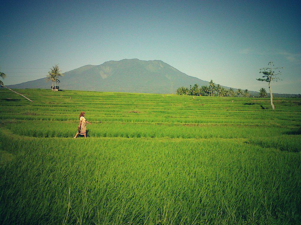 RT <a href="/bang_dho/">Pria Punya Selera</a>: «← Selamat siang Marapi; at BatuSangkar with <a href="/cyalucy/">☆ â.. Lucya ☆</a>