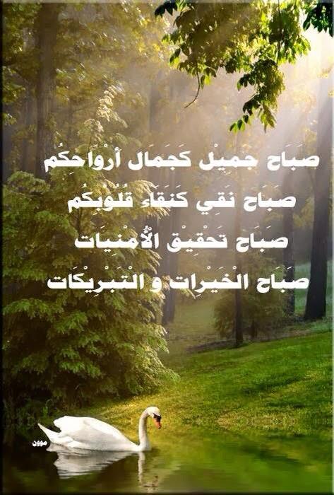 athp666's tweet photo. http://t.co/jejXiih4A1