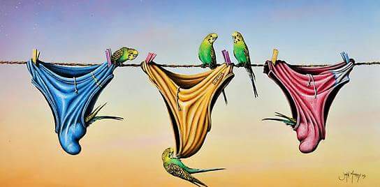 Cheekybec's tweet image. Budgie smuggling #aussiehumor