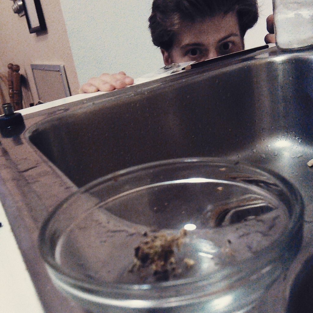 OasisBrandWA's tweet photo. #dirtgirl and #skullboy here with a new harvest! #pineapplechunk #i502 #legal #pot #Bellingham #cannabisconnoisseur http://t.co/z92YFPAhT4
