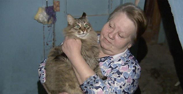 A3Noticias's tweet image. Una gata callejera da calor a un bebé abandonado en Rusia y le salva de morir de frio goo.gl/q81qRj