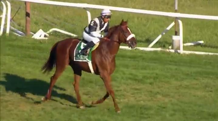 tombrownmac's tweet image. Feature - Will Main Sequence Win Horse of the Yea…: youtu.be/NZftqKFJNQY
#MainSequence