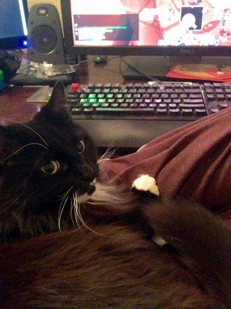 Embedded image permalink