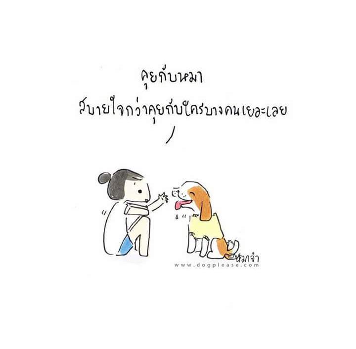 DogpleaseMaaJa's tweet photo. คุยกับหมา สบายใจกว่าคุยกับใครบางคนเยอะเลย http://t.co/iXqqXr2q3t