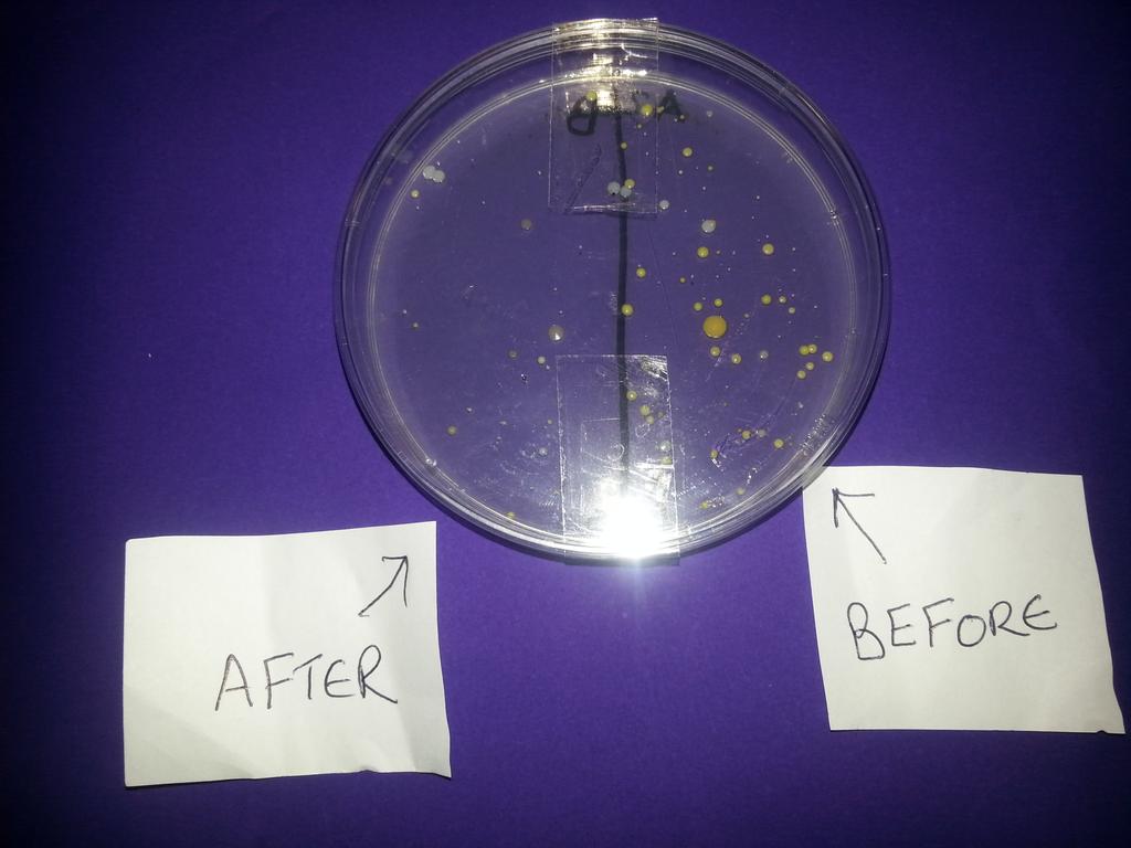 BWS_Science tweet picture
