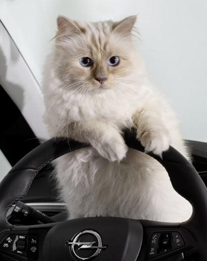 View image on Twitter View image on Twitter