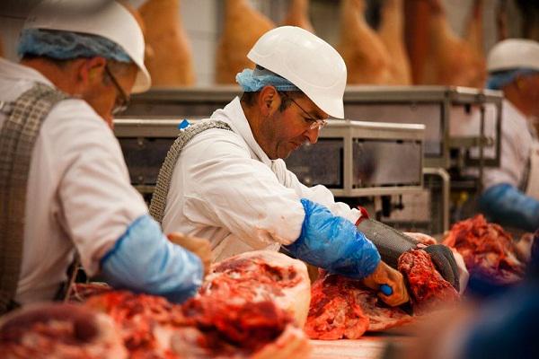 provencefra's tweet image. Viande separee #mecaniquement | Viande #Séparée Mécaniquement  lima-france.com/fre/specificat…