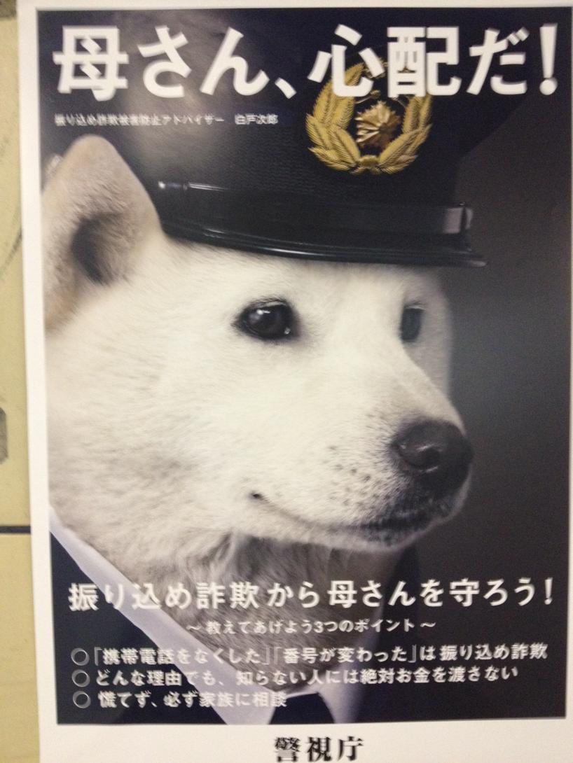 Furikomi Hashtag On Twitter Furikomi Hashtag On Twitter