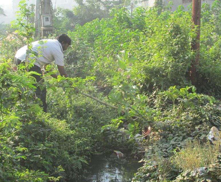 SwachhaBBSR's tweet photo. By cleanliness we mean the habit of keeping physically and mentally clean. @narendramodi @dpradhanbjp @arunjaitley http://t.co/lsXRgoU7F1