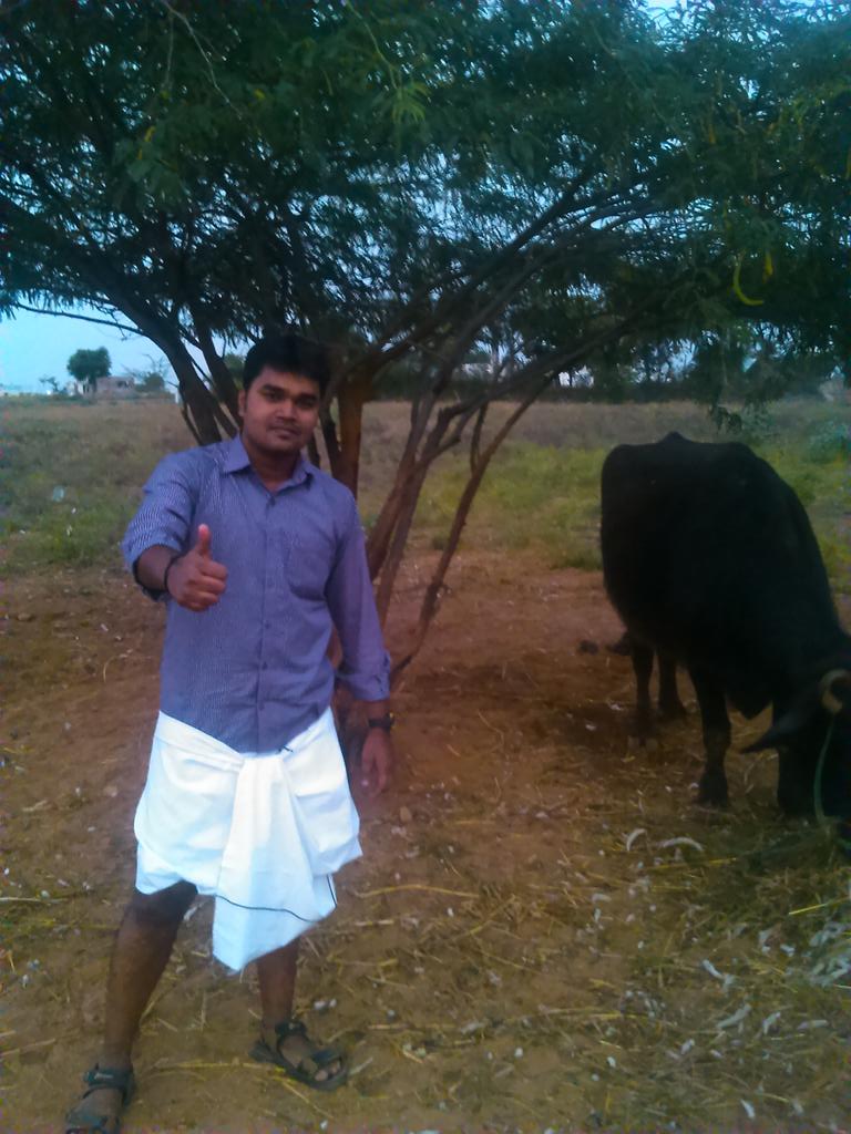 Senthil03101989's tweet photo. Pongal celebration @my native keeranur, dindugal dist http://t.co/rhfeZhXnrF