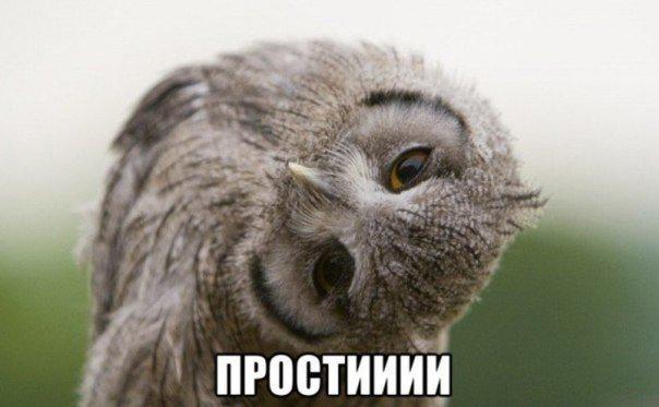 rbashkin58's tweet photo. ИЗВИНИ^^ http://t.co/MOdDAOCGAg