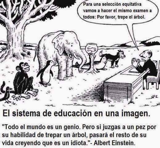 Marina060788's tweet photo. Interesante retrato del sistema educativo, ¿no creéis? @UI1Innovacion #UI1Innova2014 http://t.co/xadElaNSbU