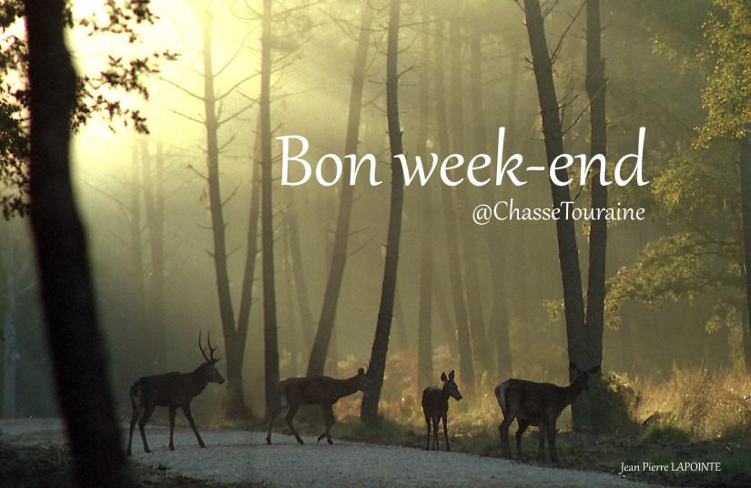 ChasseTouraine's tweet photo. #fdc37 http://t.co/X0Hj8ttrrl