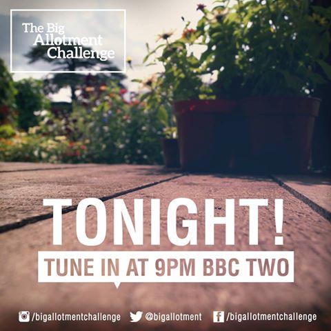 silverrivertv's tweet photo. TONIGHT - Brand new episode of the BIG ALLOTMENT CHALLENGE on @BBCTwo at 9PM http://t.co/IKmwIIMjyu
