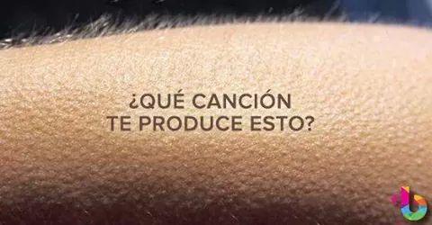 sangrelatinaFC's tweet photo. A mi todas las de @CHAYANNEMUSIC y a ustedes????  Solo tiene que ser una!! http://t.co/z0L7AoxuYc