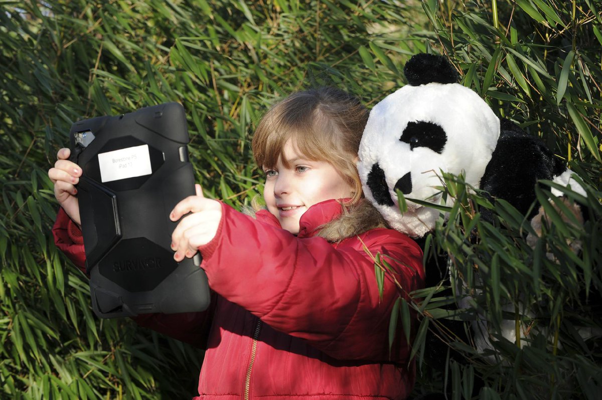 New giant panda resource launch <a href="/EdinburghZoo/">Edinburgh Zoo</a> today bit.ly/1C7GTHK