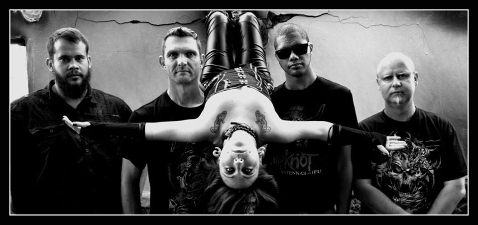 Nerve Zero Band tweet media