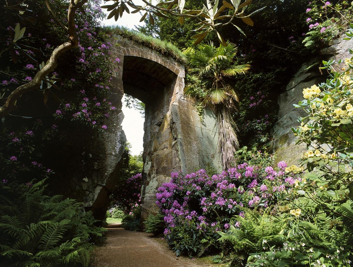 DrFrond's tweet photo. The wonderful Quarry Garden at Belsay "@EnglishHeritage: Weekend inspiration: Belsay http://t.co/VkfBcPqyVs http://t.co/B6alHopkOp”