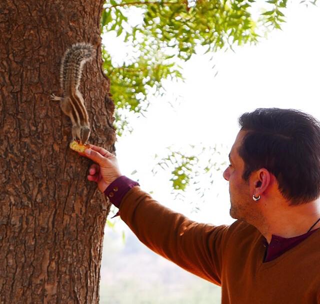 View image on Twitter