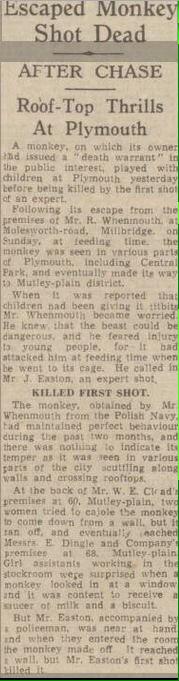 Plymouth History tweet media