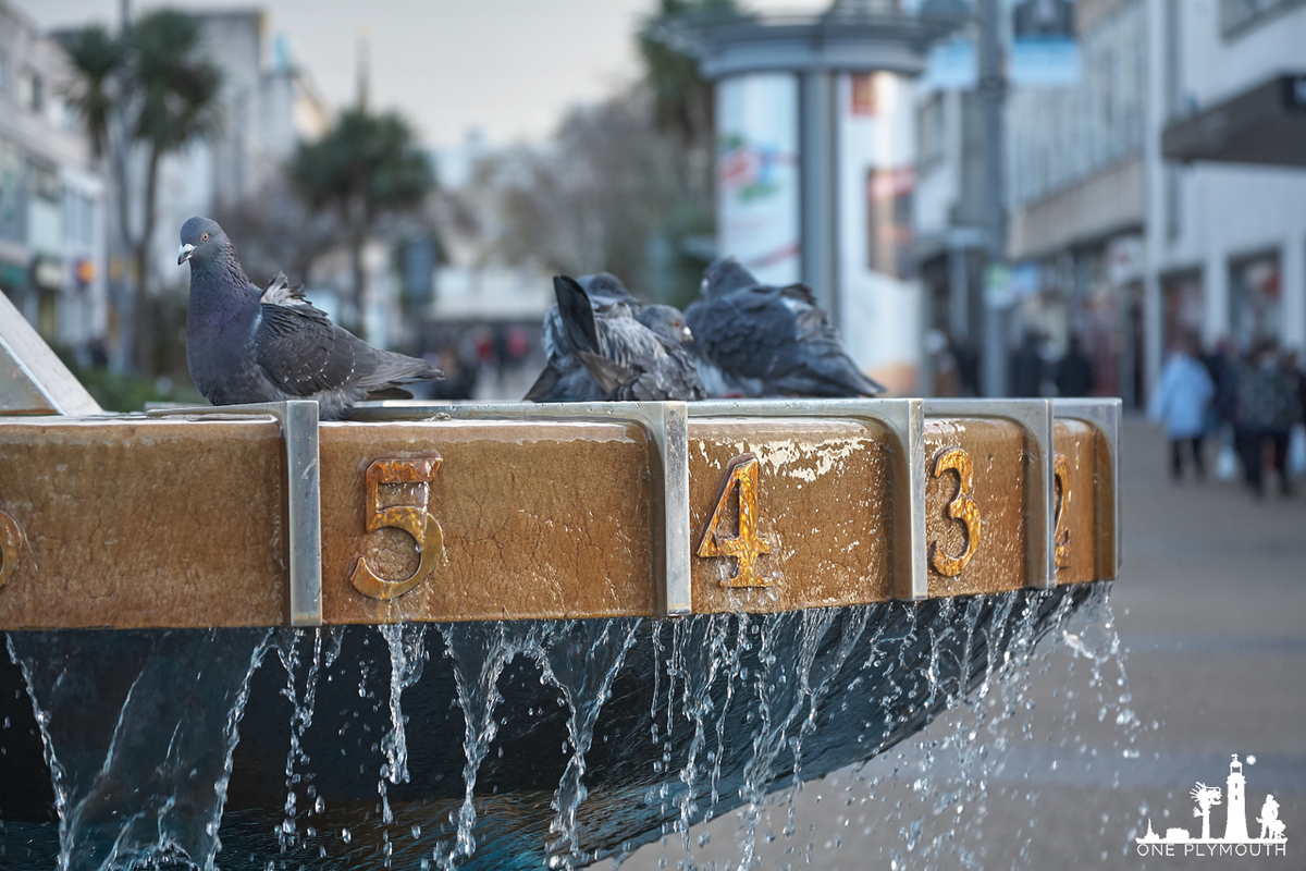 One Plymouth tweet media