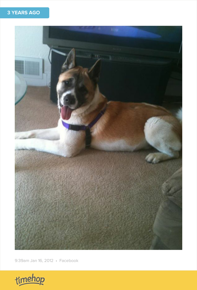 Keithstep's tweet photo. 3 yrs ago today. Judd chillin. http://t.co/pCXSFqwDtt http://t.co/NpyZMzRj7i
