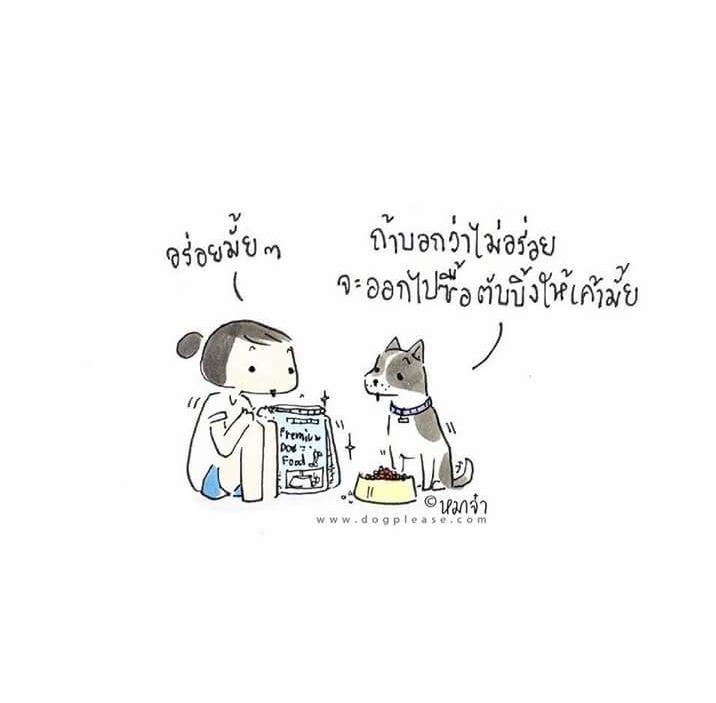 DogpleaseMaaJa's tweet photo. แล้วฉันเลือกอะไรได้มั้ย
ฮาาาา http://t.co/Pxxw3w0e6y