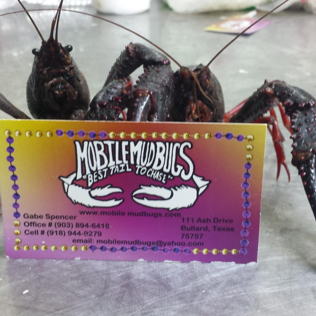 mobilemudbugs's tweet image. 