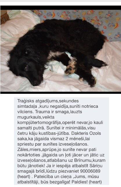 Miss_Sabiine's tweet photo. Palīdzēsim?
#RT http://t.co/2gngdDmn2Y