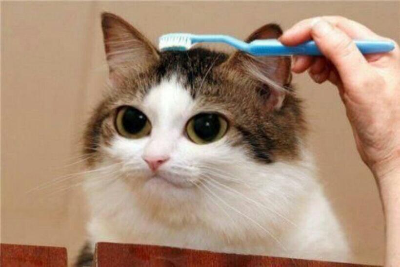 le_maymay's tweet photo. @TaylorRoss14 idek ( last one huehue ) http://t.co/Na7YqL9gUa