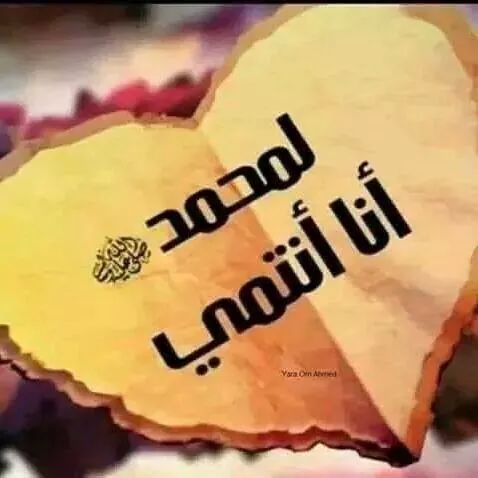 redacity16's tweet photo. لو عرفوا #قدرك ما اساؤا #لشخصك :) http://t.co/bjwYEzG6Pi