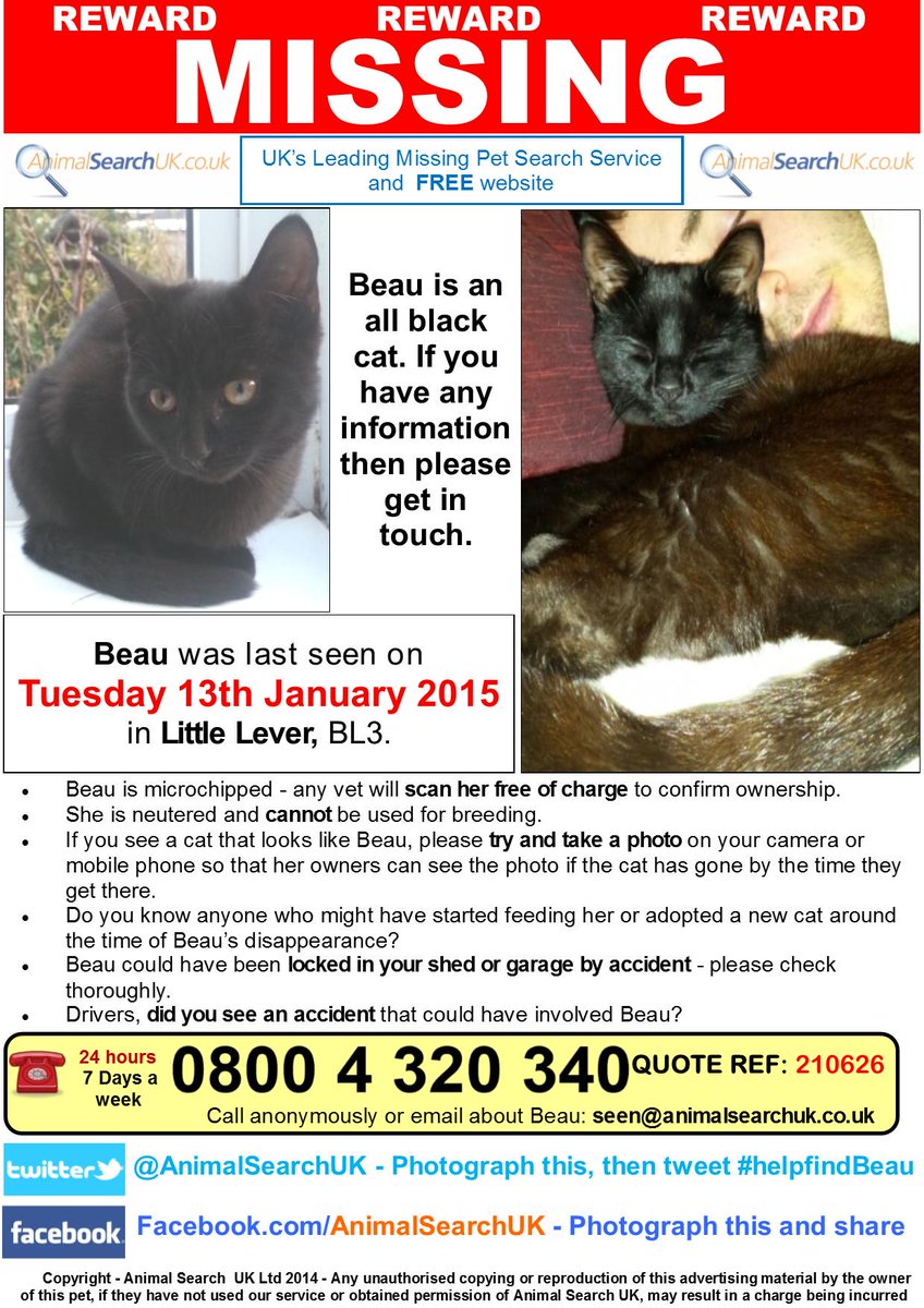 AnimalSearchUK's tweet photo. PLZ RT @Vets4PetsGroup #missingcat #littlelever #grtmanchester #BL3 #helpfindbeau
http://t.co/evdRJM66Xe http://t.co/6d1ZwWQbW2