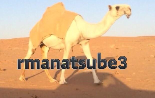 صوره جديده من رمانات وراح يتم انزل صور جديده خلال الايام الجايه اثناء الشدايد لمزاين دولة الكويت