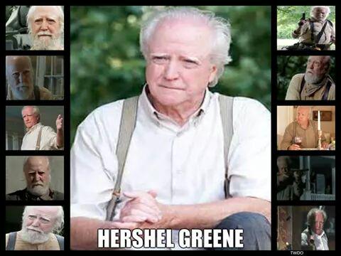 BeautifulBethG's tweet photo. #FF Special Shout Outs 
To My Dad
@HershelFknGreen 
@Spaghetti_Tues 
@HershelGreene1 
@Im_Hershel 
@SantaHershel http://t.co/G2s7c9au9R