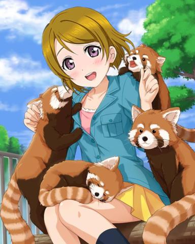 ことちゃんマン V Twitter かよちんハピバ ほんまかわいい かわいすぎ ラブライバーはrt 小泉花陽生誕祭15 かよちんの誕生日祝う人rt かよちん好きはrt 小泉花陽 1月17日はかよちんの誕生日 Rtした人全員フォローする Http T Co Xapolwubko