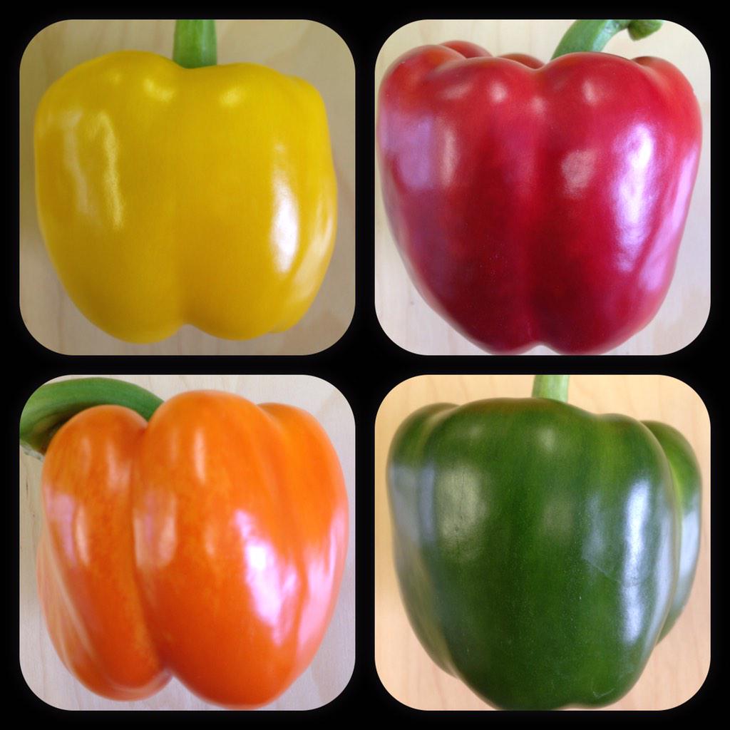 PikNPakProduce's tweet photo. Thanks for the insight @freshretail on building our brand! #5yearplan #eatlocal http://t.co/Ocmyu0pZeA