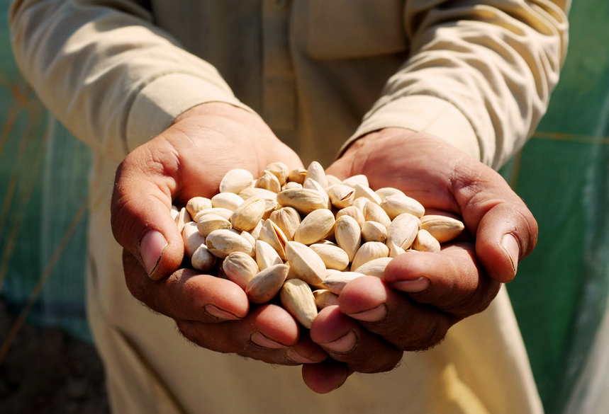 UNDP's tweet photo. "We have no land to grow crops..no jobs"--@UNDP_pakistan creats hope 4 #refugees in #Pakistan: http://t.co/cUfLFTubAV http://t.co/8ELgElhRrW