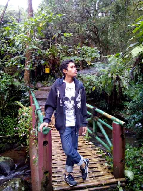 CitoAP's tweet image. Curug