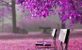 mono3ate's tweet photo. طعم آلحكي بعد آلزعل ،،
 يشبه حكي آول لقى ~

، http://t.co/YOTQUnPZ7Z